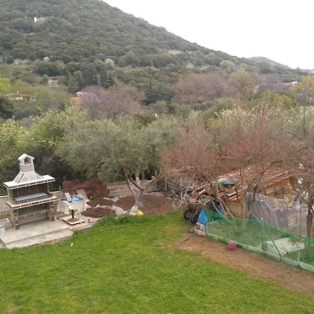 Martha'S Villa Nea Iraklitsa المظهر الخارجي الصورة