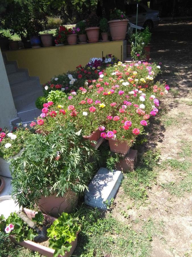 Martha'S Villa Nea Iraklitsa المظهر الخارجي الصورة