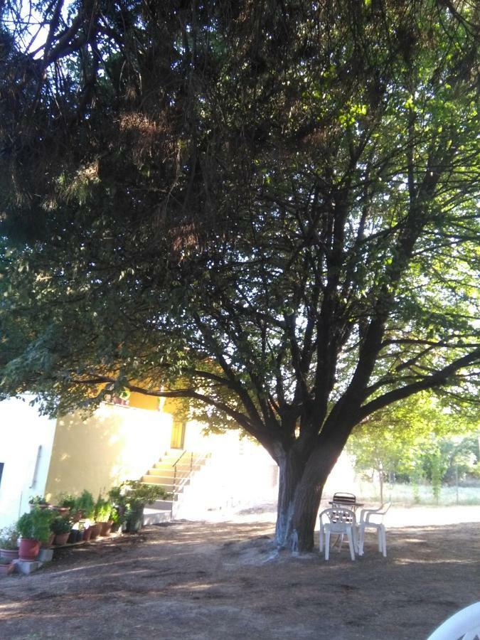 Martha'S Villa Nea Iraklitsa المظهر الخارجي الصورة